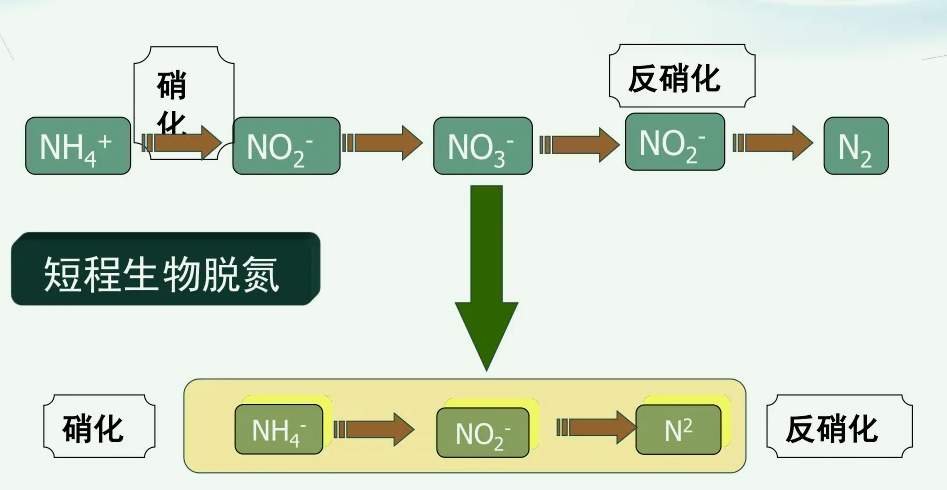 短程硝化反硝化工藝原理（什么是短程硝化）